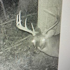 Meet your Posher, Kenneth